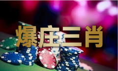 2024新澳门原料网坐下载